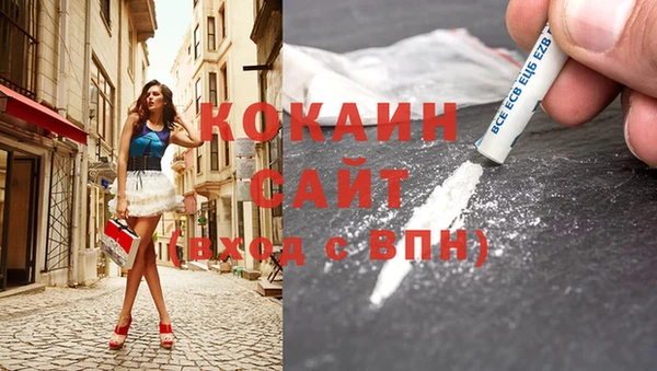 ешки Алексин