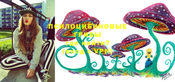 ешки Алексин