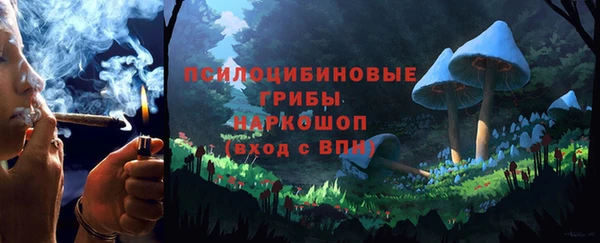 ешки Алексин