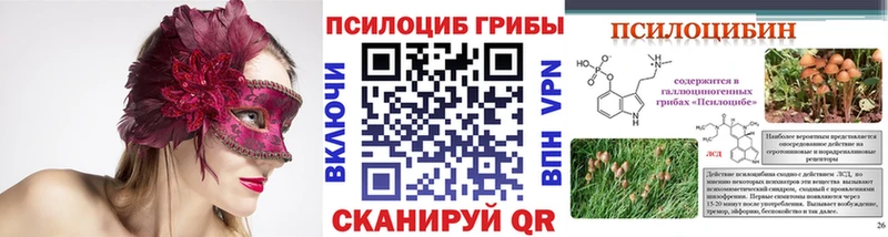 купить сайты Покров Псилоцибиновые грибы Psilocybine cubensis