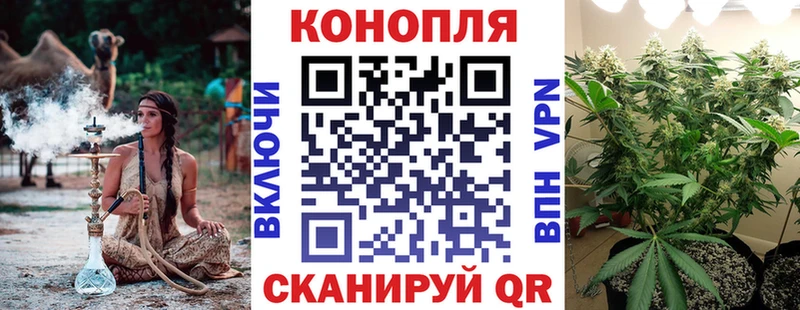 Конопля White Widow  MEGA маркетплейс  Покров 